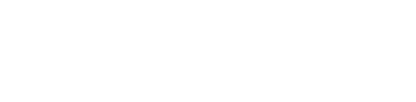 RGB__magnetis_logo_branco